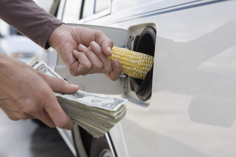 Biofuel & biodiesel The Cons #2: Food vs Fuel - Concept Car Credit