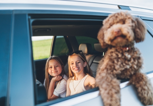 Family Car Finance from Concept Car Credit